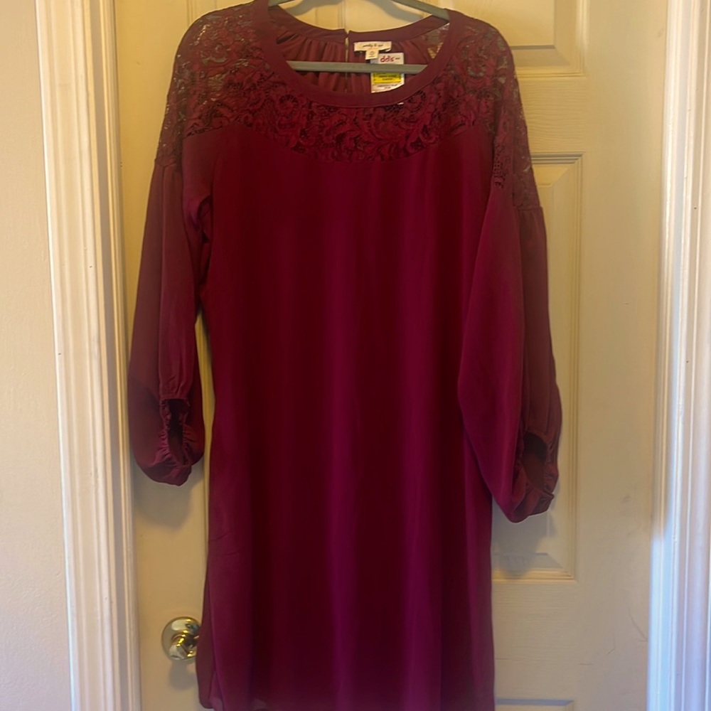 Beautiful Lace Dress NWT